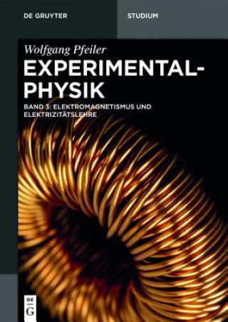 Kniha Elektrizität, Magnetismus, Elektromagnetische Schwingungen und Wellen Wolfgang Pfeiler
