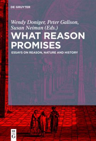 Kniha What Reason Promises Wendy Doniger