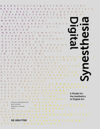 Kniha Digital Synesthesia Katharina Gsöllpointner