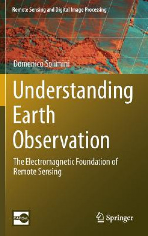 Könyv Understanding Earth Observation Domenico Solimini