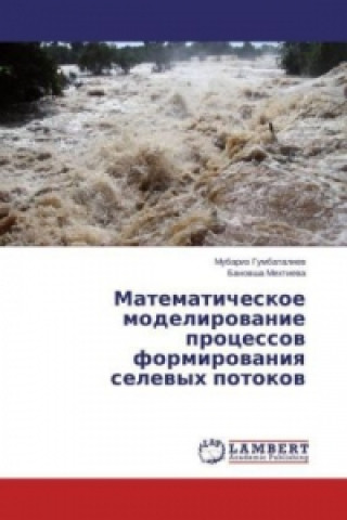 Könyv Matematicheskoe modelirovanie processov formirovaniya selevyh potokov Mubariz Gumbataliev