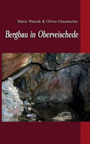 Buch Bergbau in Oberveischede Mario Watzek