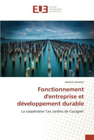 Kniha Fonctionnement d'Entreprise Et Developpement Durable Aemmer-J