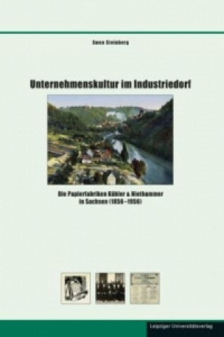 Kniha Unternehmenskultur im Industriedorf Swen Steinberg