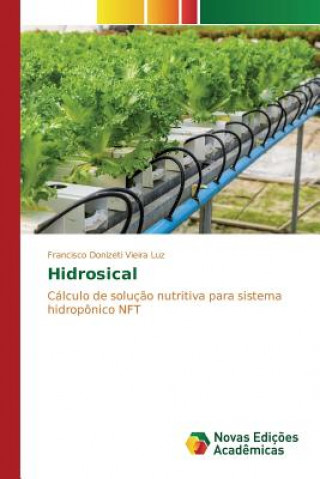Книга Hidrosical Luz Francisco Donizeti Vieira
