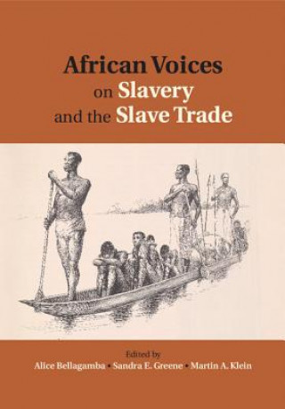 Kniha African Voices on Slavery and the Slave Trade: Volume 2, Essays on Sources and Methods Alice Bellagamba