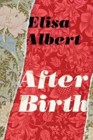 Carte After Birth Elisa Albert
