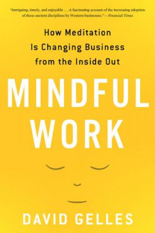 Kniha Mindful Work David Gelles