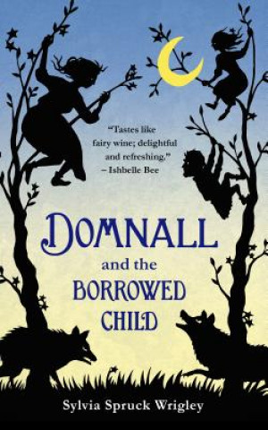 Könyv Domnall and the Borrowed Child Sylvia Spruck Wrigley