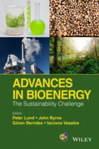 Libro Advances in Bioenergy - The Sustainability Challenge Peter Lund