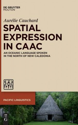 Kniha Spatial Expression in Caac Aurélie Cauchard