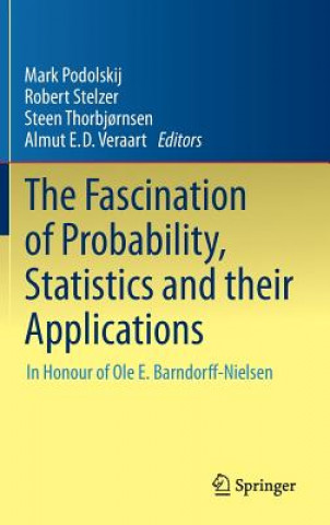 Kniha Fascination of Probability, Statistics and their Applications Mark Podolskij