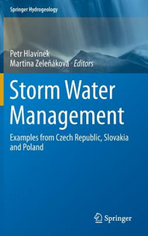 Könyv Storm Water Management Petr Hlavínek