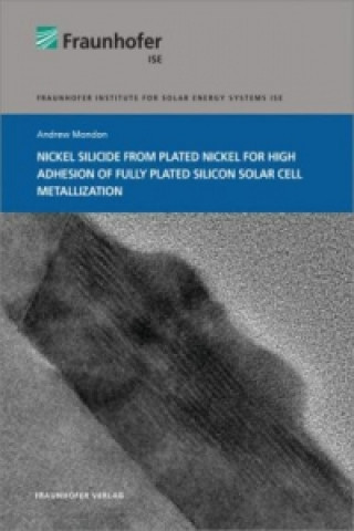 Könyv Nickel Silicide from Plated Nickel for High Adhesion of Fully Plated Silicon Solar Cell Metallization. Andrew Mondon