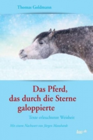 Kniha Das Pferd, das durch die Sterne galoppierte Thomas Goldmann