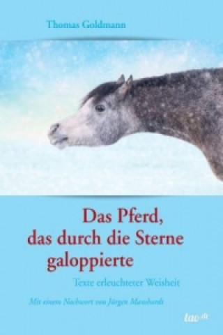 Kniha Das Pferd, das durch die Sterne galoppierte Thomas Goldmann