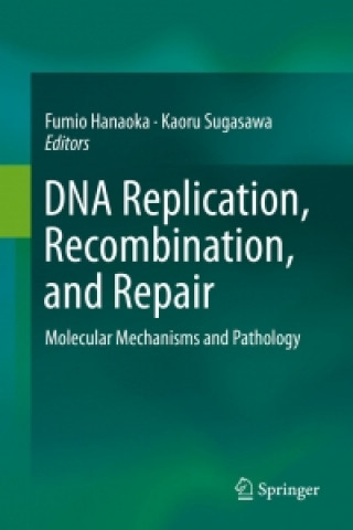Книга DNA Replication, Recombination, and Repair Fumio Hanaoka