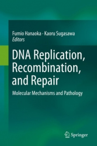 Buch DNA Replication, Recombination, and Repair Fumio Hanaoka