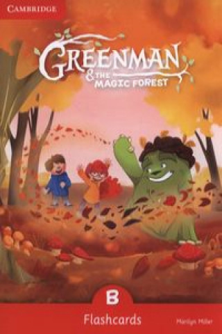 Libro Greenman and the Magic Forest B Flashcards (Pack of 48) Marilyn Miller