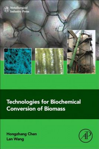Könyv Technologies for Biochemical Conversion of Biomass Hongzhang Chen