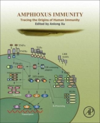 Kniha Amphioxus Immunity An Long Xu