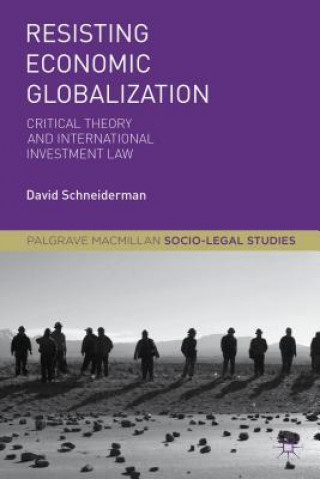 Könyv Resisting Economic Globalization David Schneiderman