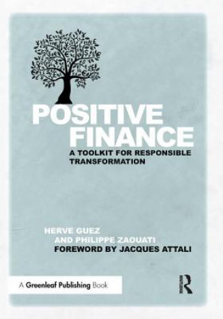 Kniha Positive Finance Herve Guez