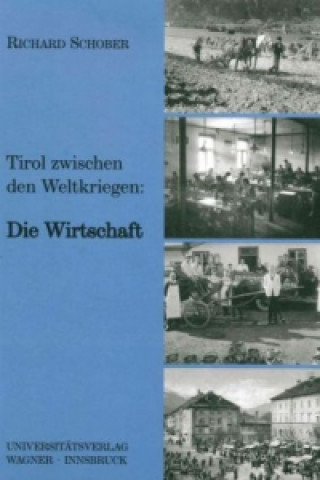 Kniha Tirol zwischen den beiden Weltkriegen Teil 1: Die Wirtschaft Richard Schober