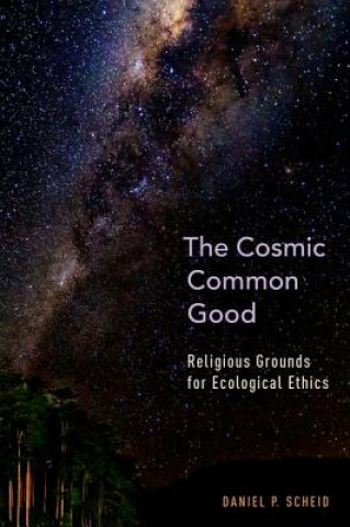 Kniha Cosmic Common Good Daniel P. Scheid