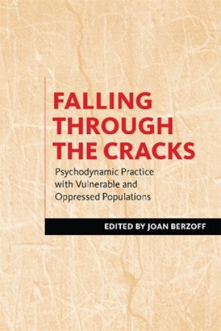 Kniha Falling Through the Cracks 
