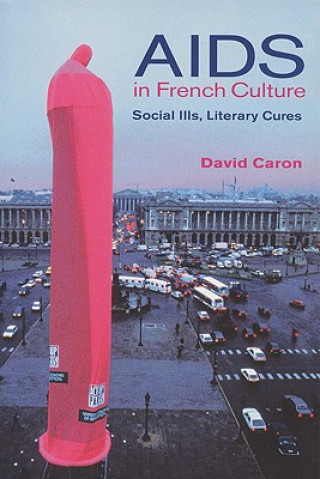 Książka AIDS in French Culture David Caron