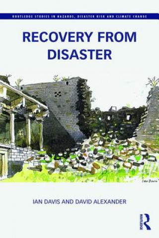 Kniha Recovery from Disaster Ian Davis