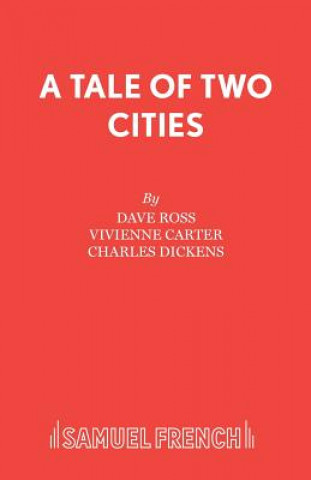 Knjiga Tale of Two Cities David Ross