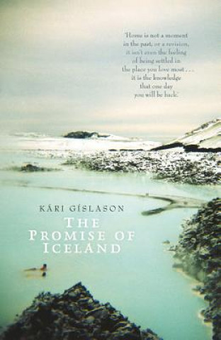 Książka Promise of Iceland Kari Gislason