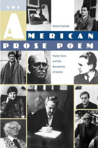 Könyv American Prose Poem Delville