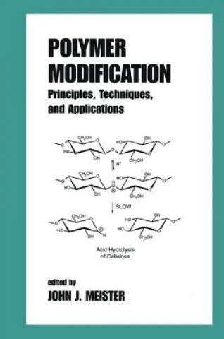 Książka Polymer Modification John Meister