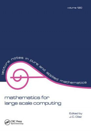 Knjiga Mathematics for Large Scale Computing Julio Diaz