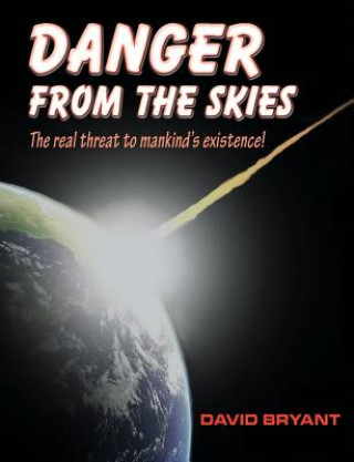 Könyv Danger from the skies David bryant