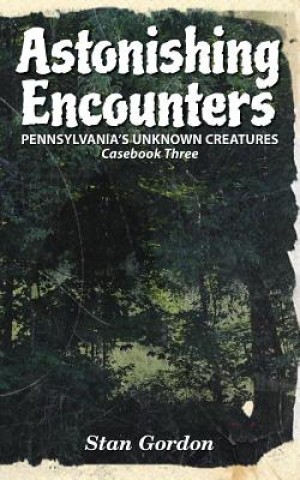 Kniha Astonishing Encounters Stan Gordon