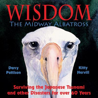 Libro Midway Albatross Wisdom Darcy Pattison