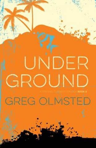 Buch Under Ground Gregory Kim Olmsted