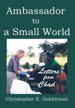 Kniha Ambassador to a Small World Christopher E Goldthwait