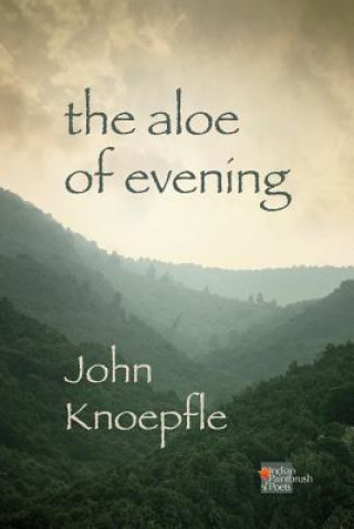 Kniha Aloe of Evening John Knoepfle