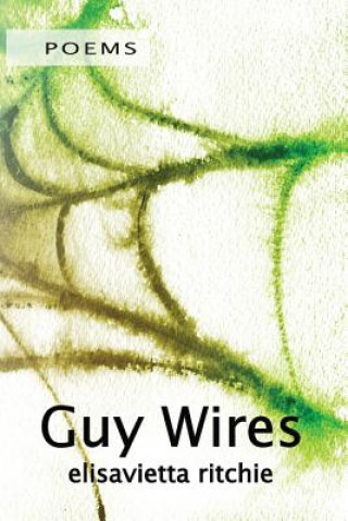 Kniha Guy Wires Elisavietta Ritchie