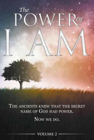 Kniha Power of I AM - Volume 2 David Allen