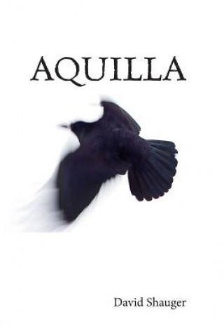 Könyv Aquilla David Shauger