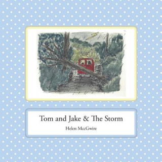 Kniha Tom and Jake & the Storm Helen McCgwire