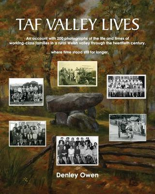 Kniha Taf Valley Lives Denley Owen