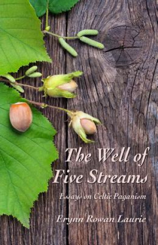 Knjiga Well of Five Streams Erynn Rowan Laurie