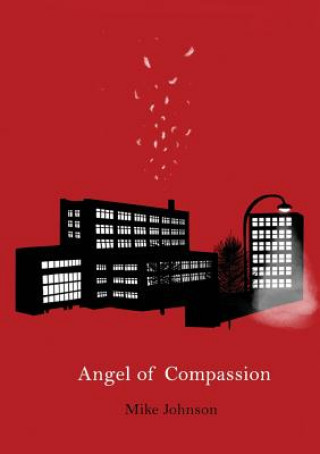 Livre Angel of Compassion Johnson